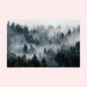 Foto op akoestisch vilt bedrukken | Akoestisch vilt met foto | Akoestisch vilt met eigen ontwerp