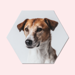 Foto op hexagon bedrukken | Hexagon met foto | Hexagon met eigen ontwerp