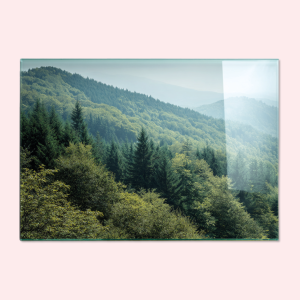 Foto op plexiglas bedrukken | Plexiglas met foto | Plexiglas met eigen ontwerp