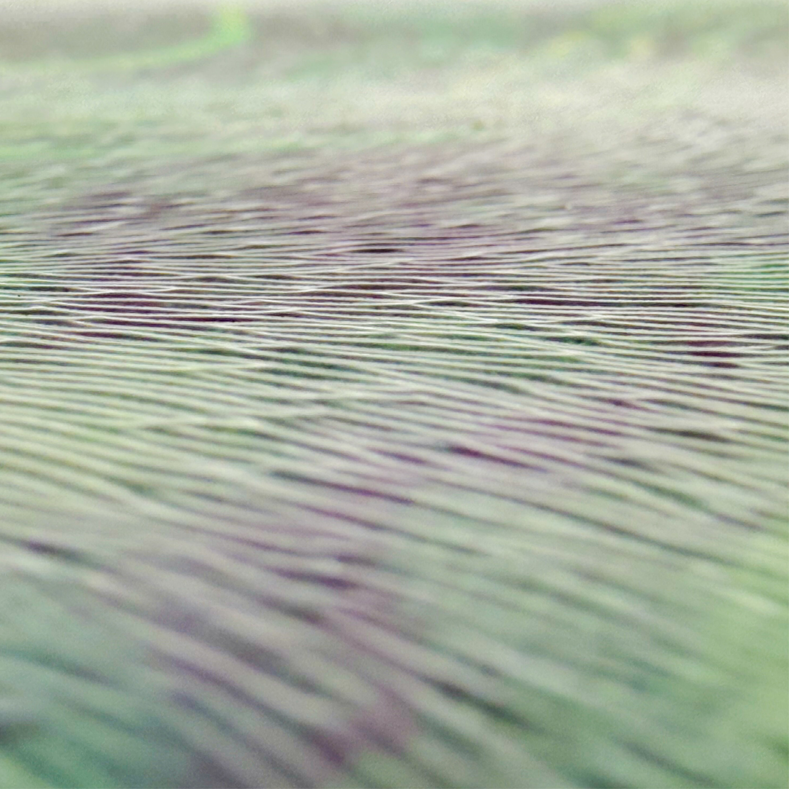 Foto op snijplank - Afbeelding 2