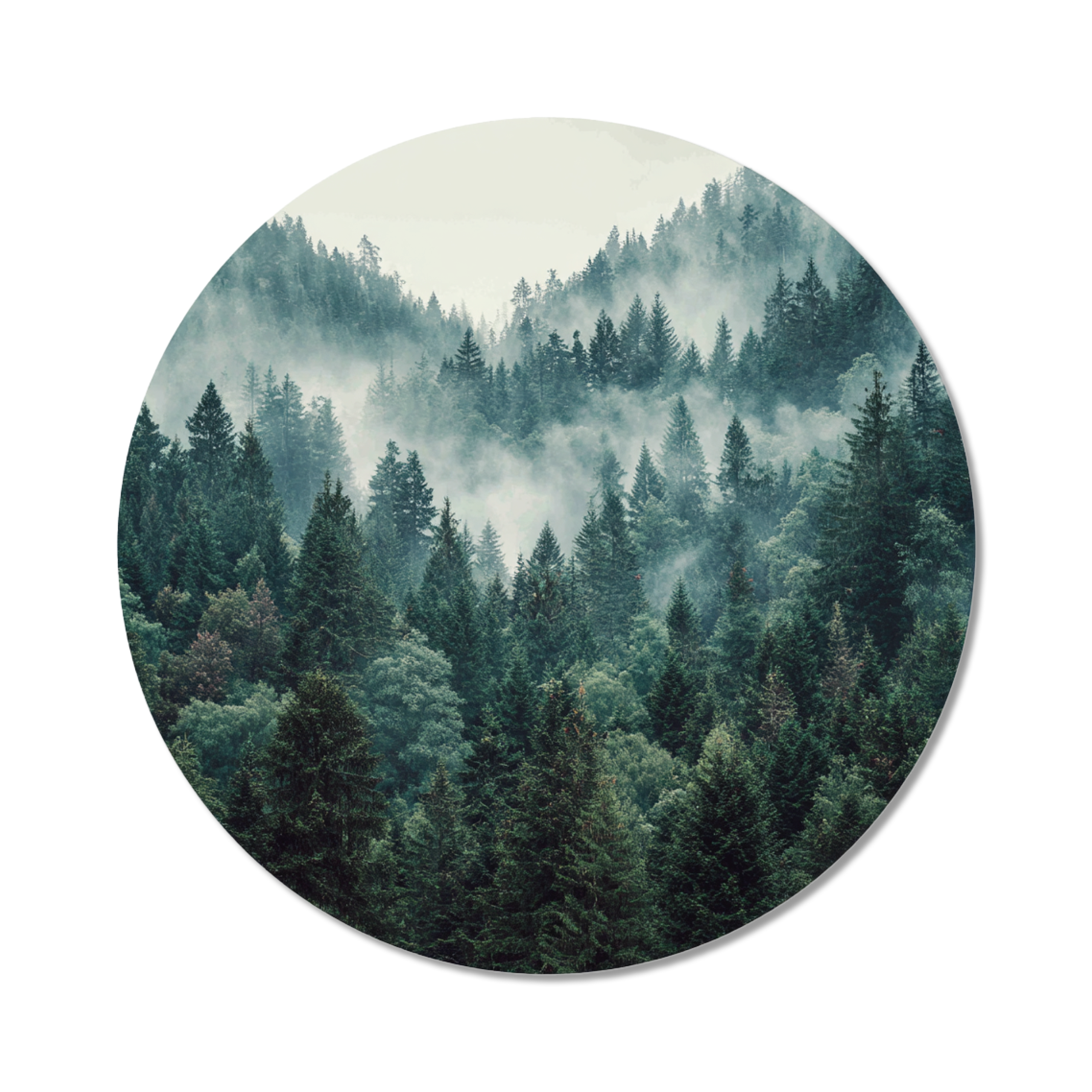 Foto op wandcirkels forex bedrukken | Wandcirkels forex met foto | Wandcirkels forex met eigen ontwerp