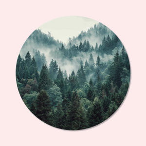 Foto op wandcirkel forex bedrukken | Wandcirkel forex met foto | Wandcirkel forex met eigen ontwerp