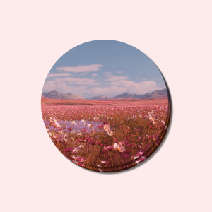 Foto op onderzetter bedrukken | Onderzetter met foto | Onderzetter met eigen ontwerp