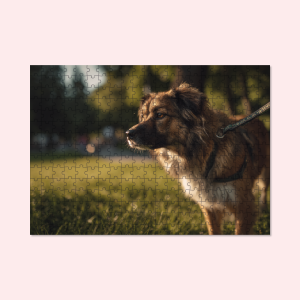 Foto op puzzel 315 stukjes bedrukken | Puzzel met foto 315 stukjes | Puzzel met eigen ontwerp