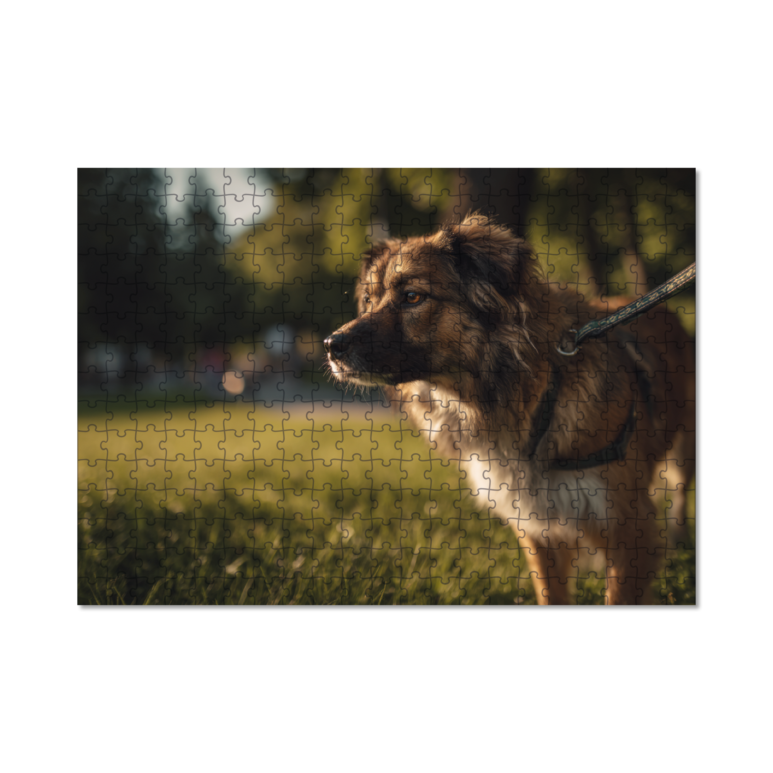 Foto op puzzels 315 stukjes bedrukken | Puzzels met foto 315 stukjes | Puzzels met eigen ontwerp