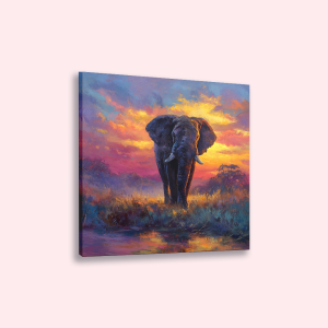 Olifant op plexiglas bestellen | plexiglas met foto | Onze designs